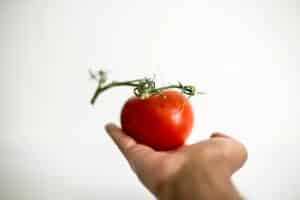 Ăn cà chua mỗi ngày có thể giúp bảo vệ ngăn ngừa ung thư da.