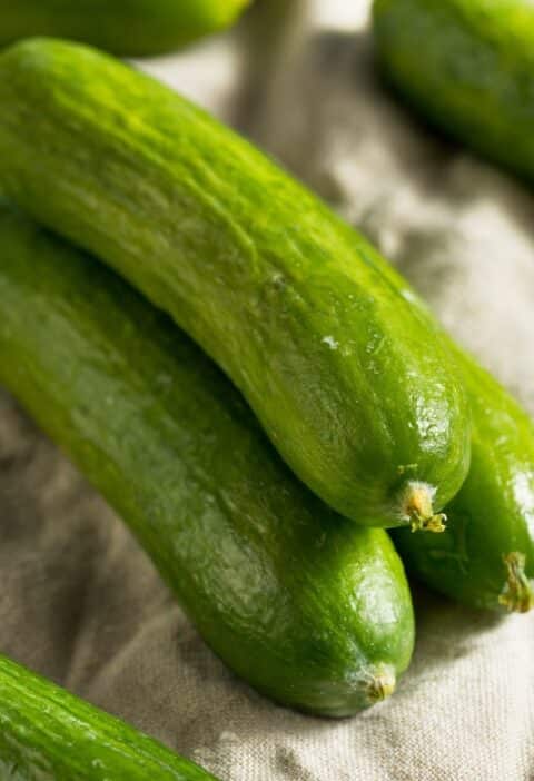 persian cucumbers benefits©iStock | Ăn Chay, Thuần Chay, Quán Chay & Nhà Hàng Chay
