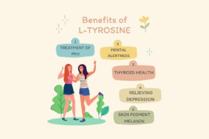 Tyrosine giúp cơ thể tạo ra một số chất dẫn truyền thần kinh quan trọng.