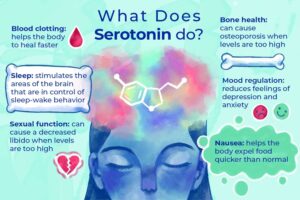 Tryptophan là tiền chất duy nhất của serotonin trong cơ thể, được cho là hỗ trợ nhiều quá trình sinh học, chẳng hạn như tâm trạng, giấc ngủ và tiêu hóa.